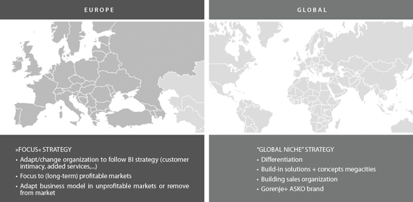 Focus and global niche strategy